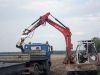 clade-6