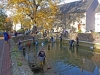 abfischen2014_08