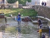 abfischen2014_21