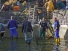 abfischen2014_23