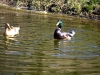 IMG_2573.jpg